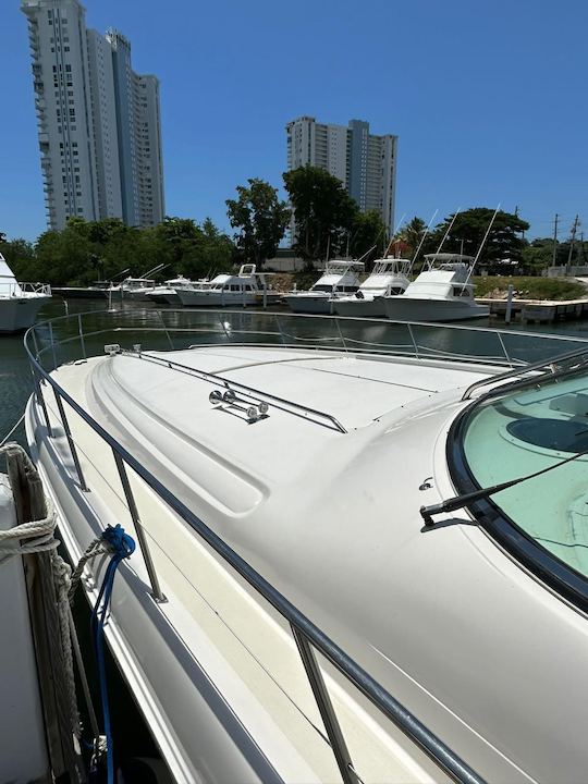 Beautiful SeaRay 60ft Luxury Yacht