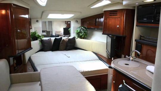 31' Sea Ray Sundancer Captained Charter Kirkland