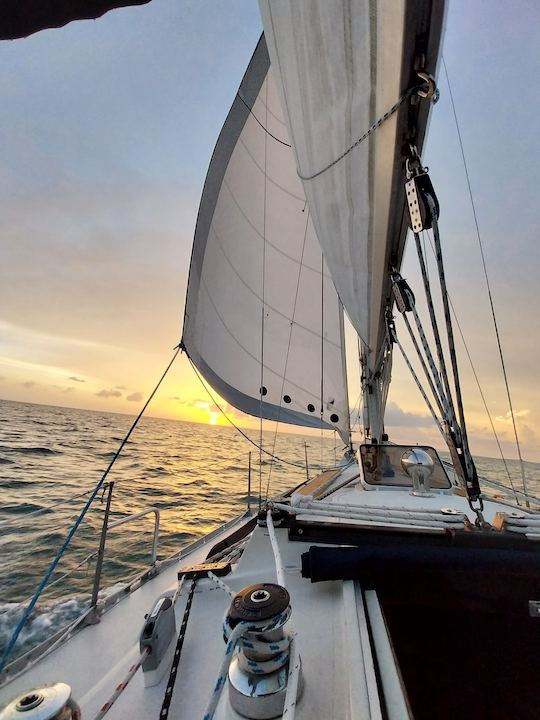 Sunset Sails : explorez les eaux libres de Tampa, en Floride