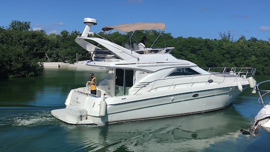 Aluguer de iates a motor SeaRay 41 Fly Bridge #GMBSR43MS