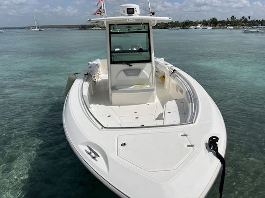 Saona Isalnd on private boat