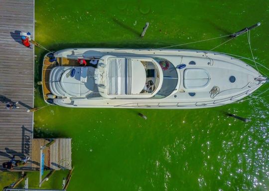 63 PIEDS - SUNSEEKER PREDATOR - BANC - JUSQU'À 18 PERSONNES - CANCUN, MEXIQUE