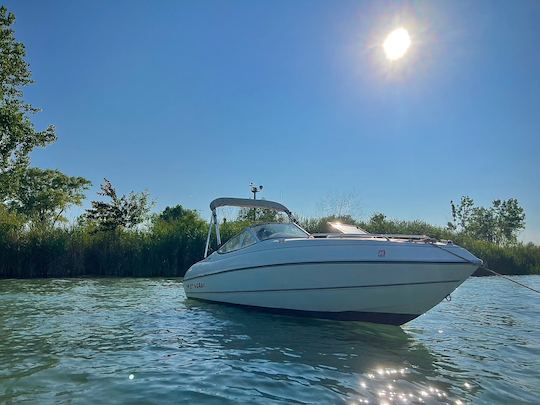 Bateau à moteur Stingray à Cass Lake