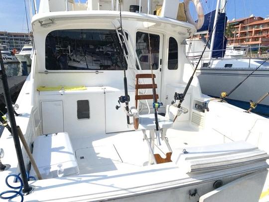 Pesca esportiva Ocean Yacht 40, Puerto Vallarta