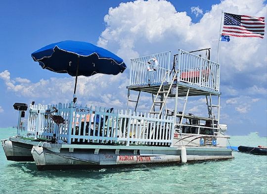 The "Original Redneck Pontoon" Crab Island / Dolphin / Snorkeling Adventures