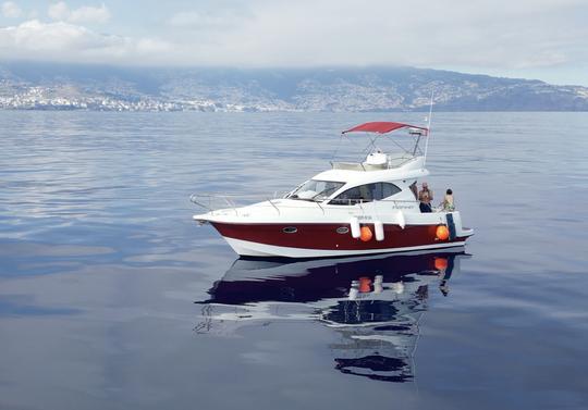 Starfisher 34 viagens de iate a motor para mergulho com snorkel, pesca e muito mais!