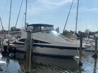 O melhor barco fretado em Clearwater, confortável e elegante, todas as comodidades, qualquer destino