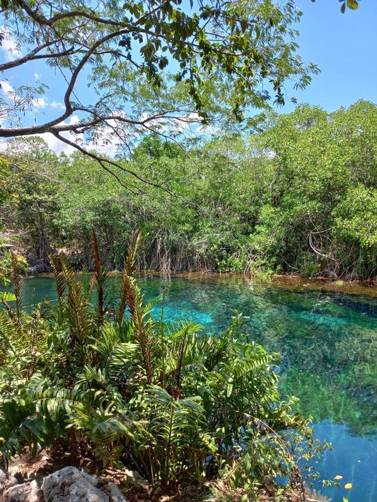 Cenotes en bicicleta y cocina al estilo maya en la Riviera Maya