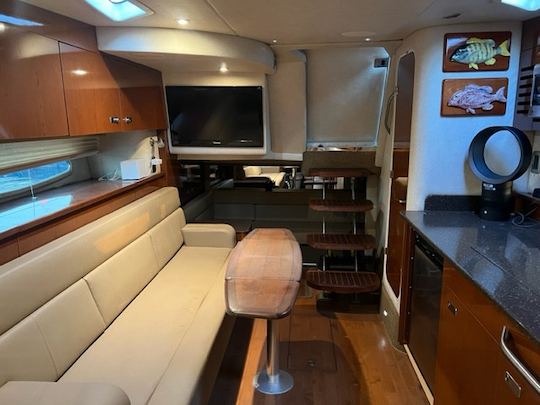 Disfrute del lago Michigan en un yate Sea Ray Sundancer de 40 pies