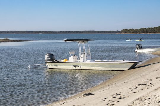 Dolphin Cruise | power boat Osprey | 2-3 hrs | 150/hr