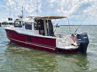 Luxury Tug Boat Harbour cruises