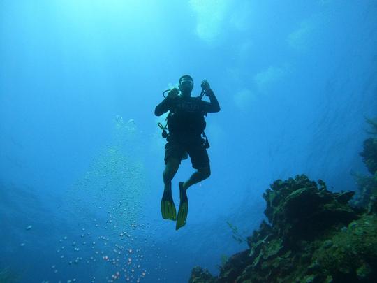 Scuba Diving at the Great Barrier Reef