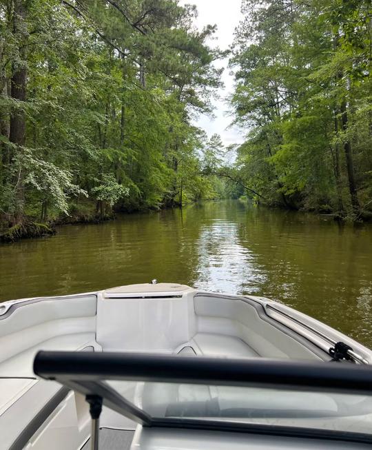 Novo Yamaha AR250 de 2023 de 25 pés em Galveston, Lake Houston, Lake Conroe