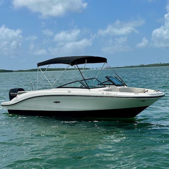 Navegue e explore as águas de Islomorada com nosso Searay Bowrider!