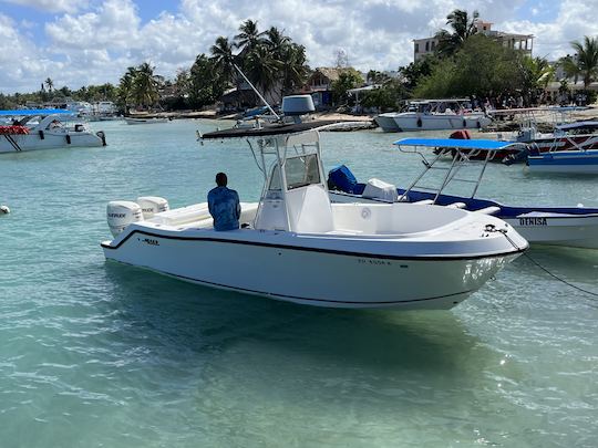 Barco privado en la isla Saona