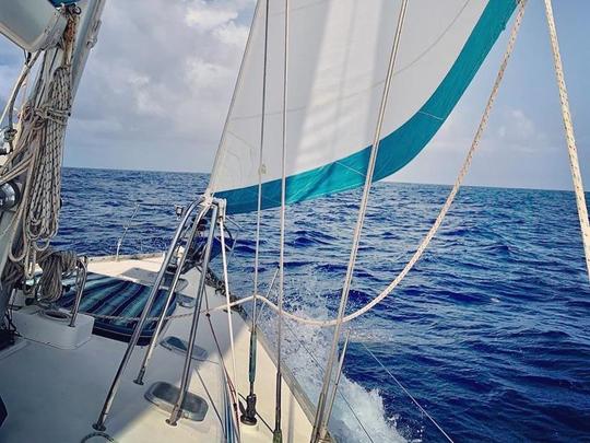 Jeannuea Internacional 51" Sailboat - Jump onboard and relax!