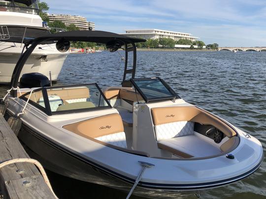 2017 Sea Ray SPX 210 Bowrider en Orlando, Florida