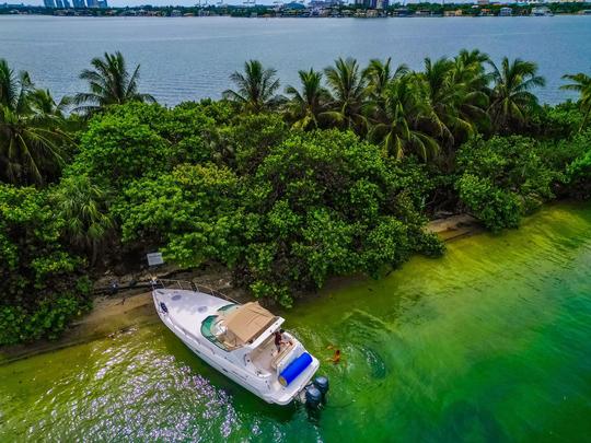 VIVE MIAMI CON ESTILO - 40 FT CRUISER 🛥️🌴