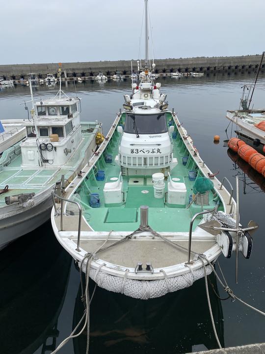 Incroyable expérience de pêche locale à Beppu, dans l'État d'Oita !