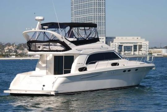 Luxurious Private Yacht Experiences Await Aboard this 53' Sea Ray for up to 12!