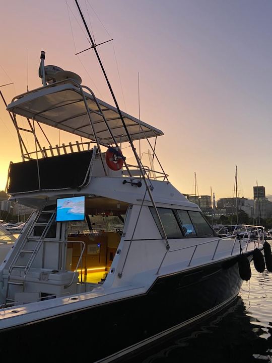 Barco a motor Marés Hunter de 50 pés para 20 pessoas no Rio de Janeiro