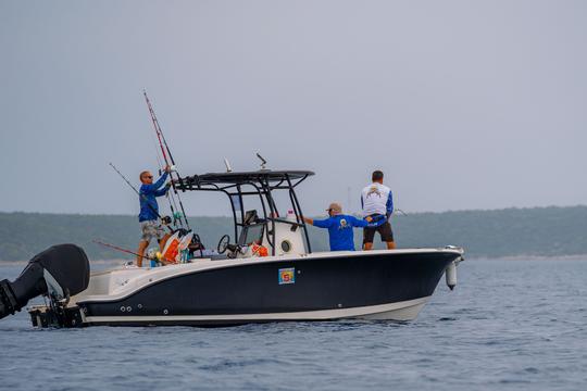 Location de pêche en bateau à console centrale 2503 Trophy à Cavtat