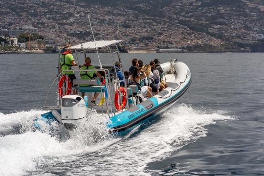 Aluguer de lanchas RIB - Mergulho com snorkel e relaxamento na costa da Madeira