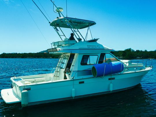 Mediterraneo 40ft Yacht & SportFish Charter in Mazatlan