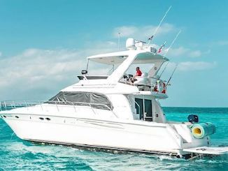 SEA RAY FLYBRIDGE DE 53 PÉS em Cancún - capacidade para até 18 pessoas!