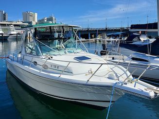 San Juan Bay: Day Cruise II | Drink & Snacks