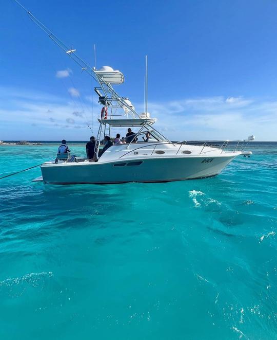 Most comfortable snorkeling/party boat 