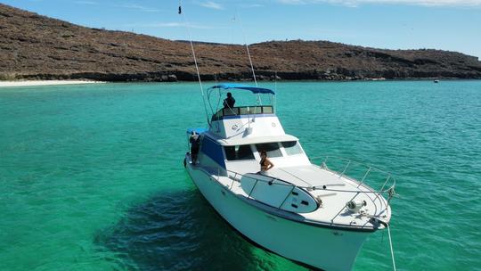 Yacht à moteur personnalisé de 45 pieds pour une croisière en Basse-Californie du Sud