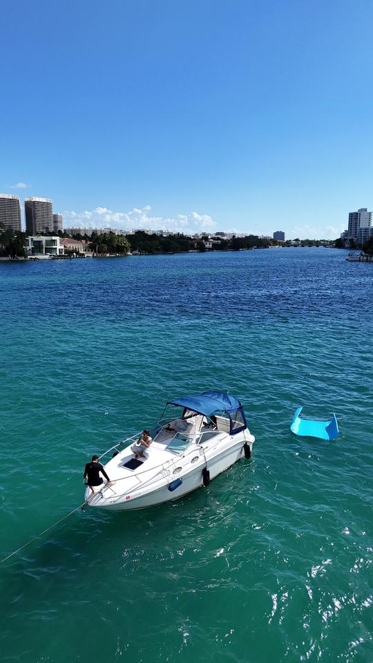 all rates include Captain-  Charter In Style -  SeaRay 260 Sundancer