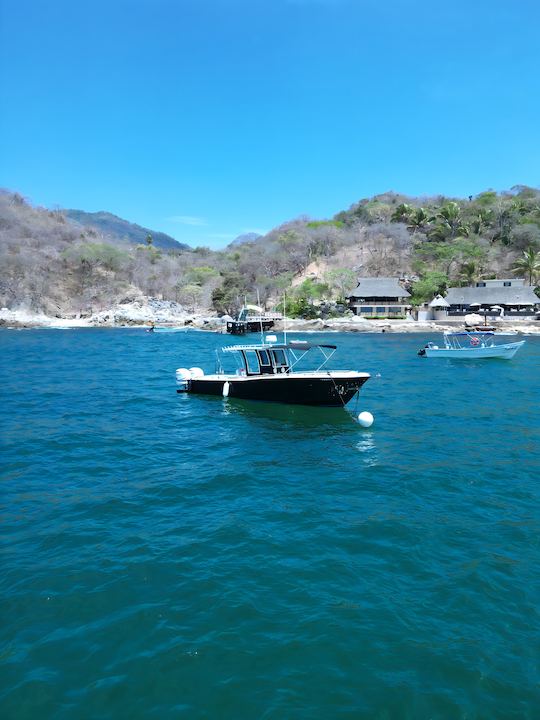 Luxury Experience with a 33ft Tender  Boat | Nuevo Vallarta (Includes food)