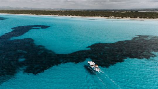 Es Trenc Boat - Towards Paradise