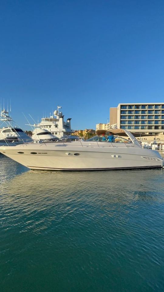 Magnifique yacht de 40 pieds à Los Cabos