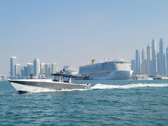 45ft New 2023 American Mercury with free Fishing in Dubai Marina