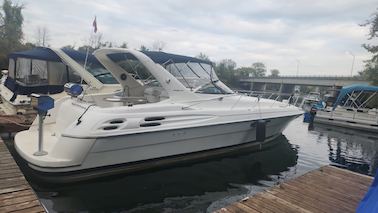 Luxury Boat Wellcraft 40"