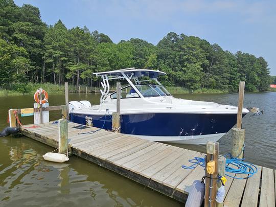 Bateau de pêche et de divertissement familial Edgewater à double console 2023. 