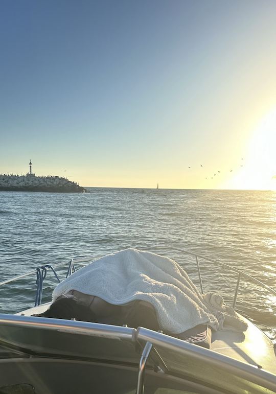 Sunset Watching Boat Experience at Marina del Rey and Santa Monica Bay 