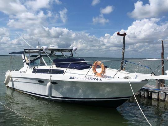 Yacht Wellcraft de 32 pieds à louer à Cancún — Jusqu'à 8 personnes !