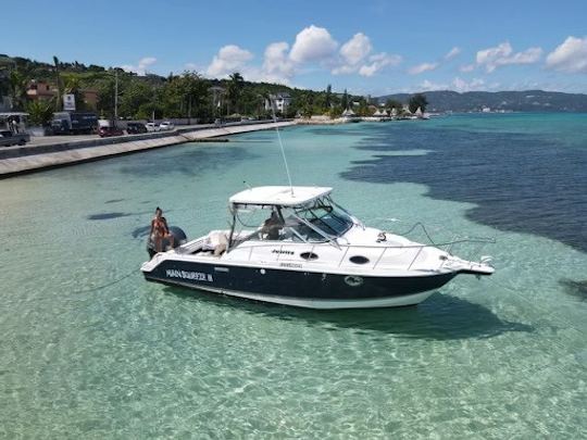 MainSqueeze-Private Boat Charters🏝️🇯🇲Rum Punch, snorkeling,Music included.