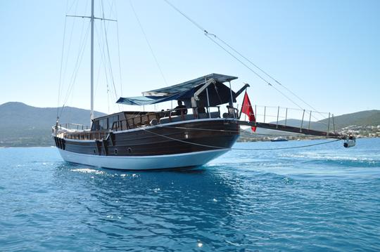 Croisière quotidienne en goélette pour familles et groupes (25 invités) à Bodrum 