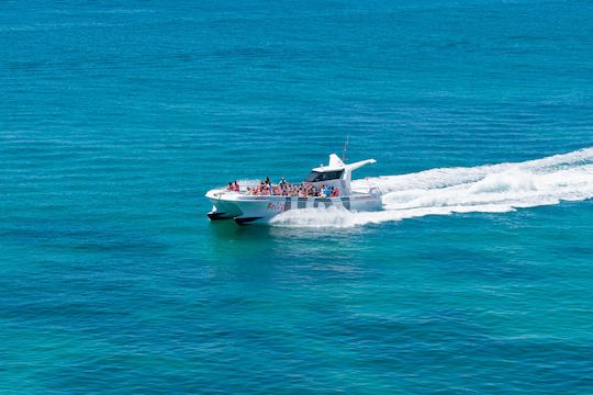 Catamarã com golfinhos e cavernas - Belize Terceiro