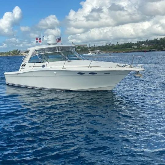 Visitez l'île de Saona ou Catalina à bord de notre Sea Ray de 37 pieds