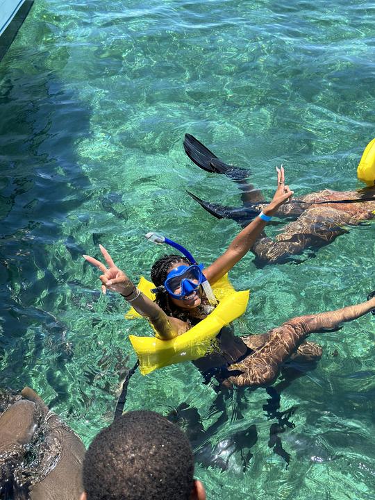 Excursion d'une demi-journée à Hol Chan + Shark Ray Alley au Belize