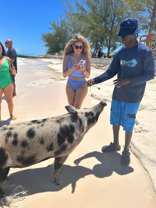 Nassau: porcos nadando, mergulhando com snorkel, pulando pelas ilhas, passeio de barco particular