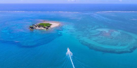 Location de catamaran à voile ! Profitez de séjours d'une nuit sur l'océan à Okinawa ! 