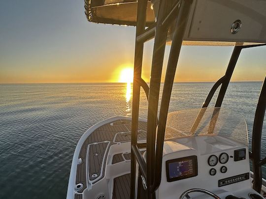 Fretamento privado de 99$ com capitão experiente | Barco Tidewater de 22 pés