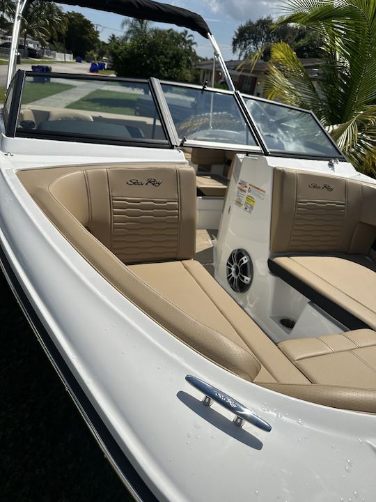 2024 Searay spx19 Sport Boat